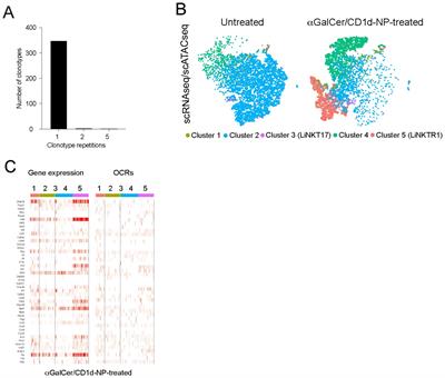 Transcriptional re-programming of liver-resident iNKT cells into T-regulatory type-1-like liver iNKT cells involves extensive gene de-methylation